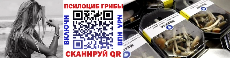 Галлюциногенные грибы Cubensis  Кыштым 